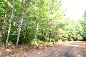LOT 9 COUNTY ROAD 204