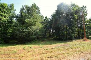 LOT 12 COUNTY ROAD 204