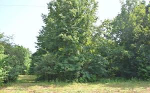 LOT 14 COUNTY ROAD 204