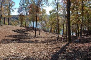 LOT 49 COUNTY ROAD 898