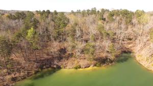 LOT 53 FLAMINGO