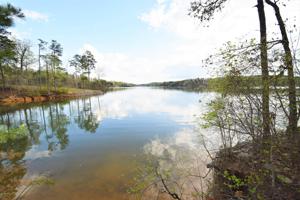 PARCEL 4 COUNTY ROAD 3914
