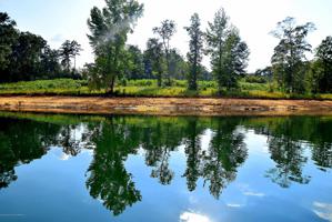 LOT 101 COUNTY ROAD 3078