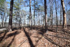 LOT 5 SWANN ESTATES