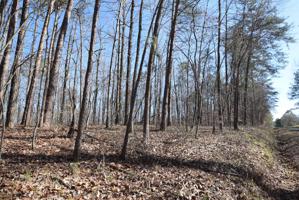 LOT 4 SWANN ESTATES