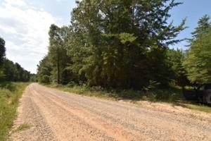 ROBINSON BOTTOM RD