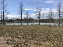 LOT 130 LAKE SHORE WEST