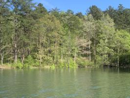 LOT 119 LAKESHORE WEST W
