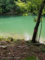 LOT 100 SIPSEY OVERLOOK Rd