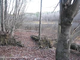 0 RATTLESNAKE LANE