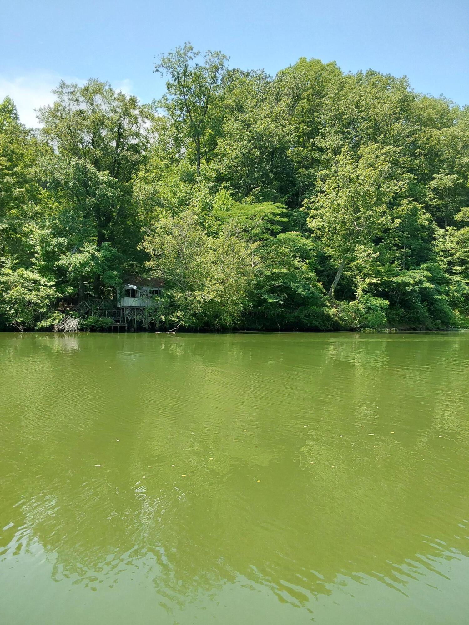 Image 3: 20240525_113441