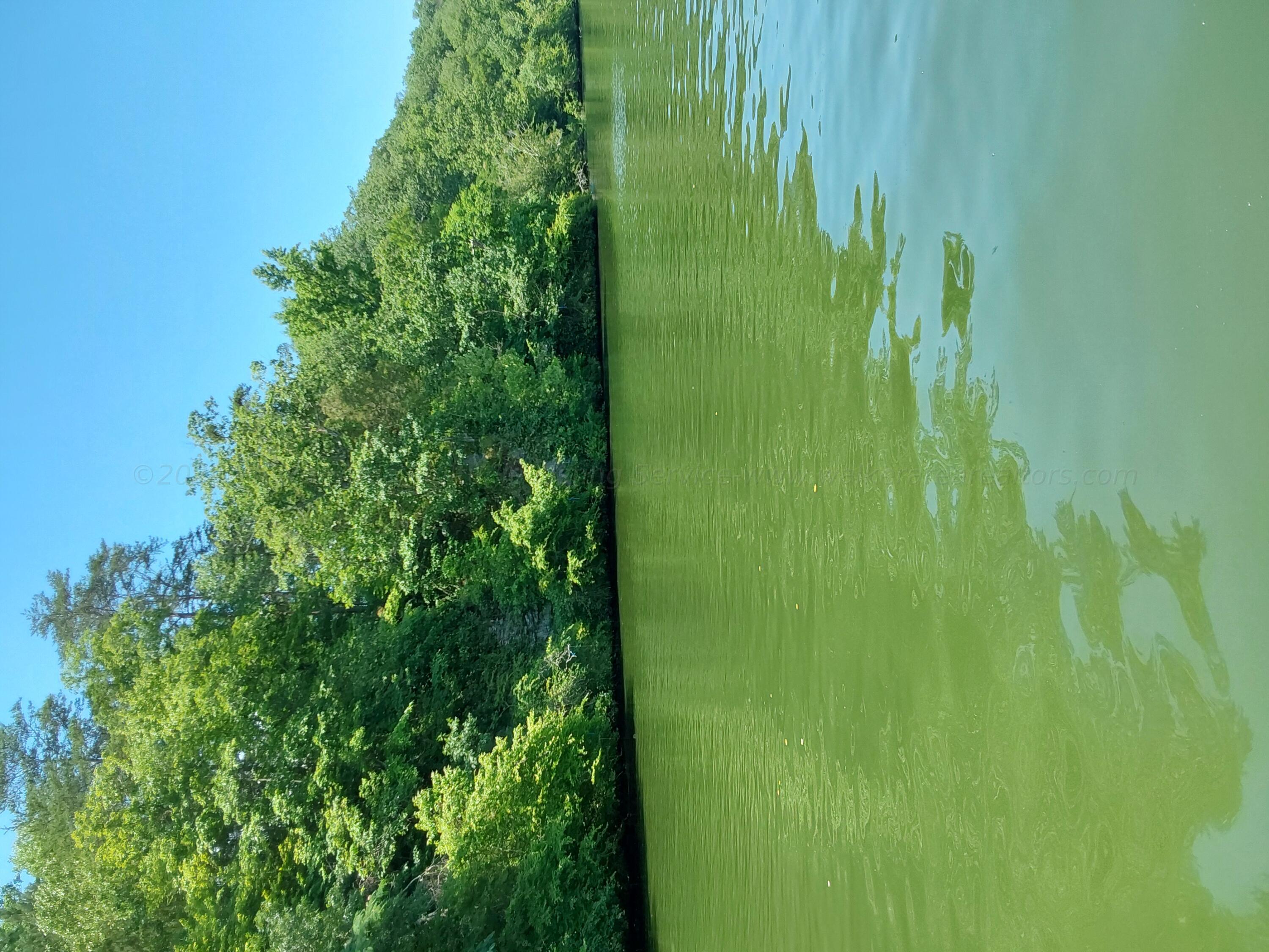 Image 1: River