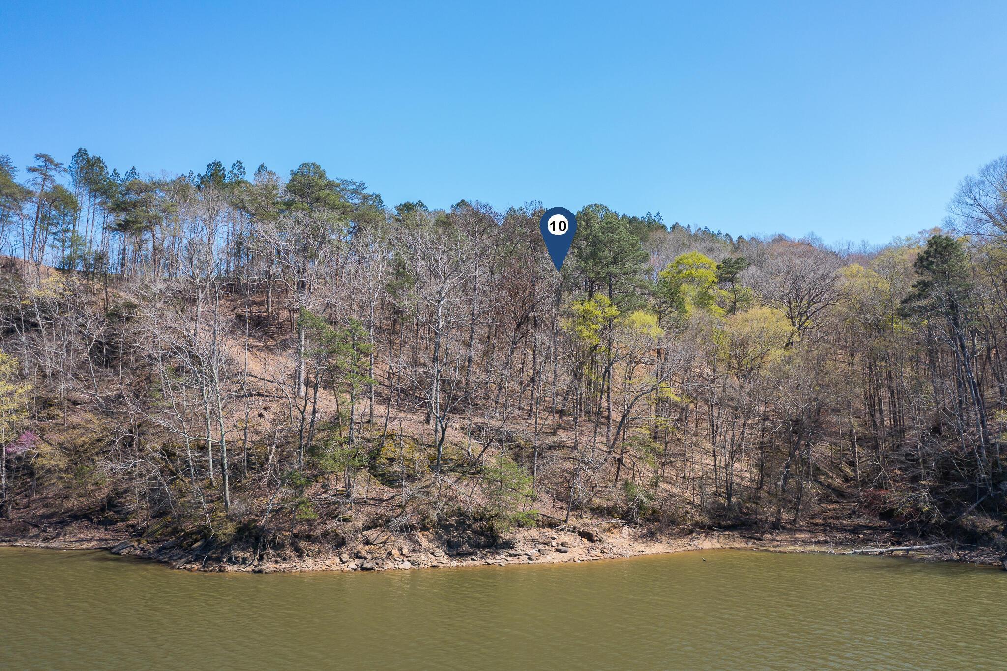 Image 1: Lot 10
