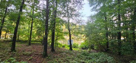 LOT 3 SHELBY SHORES