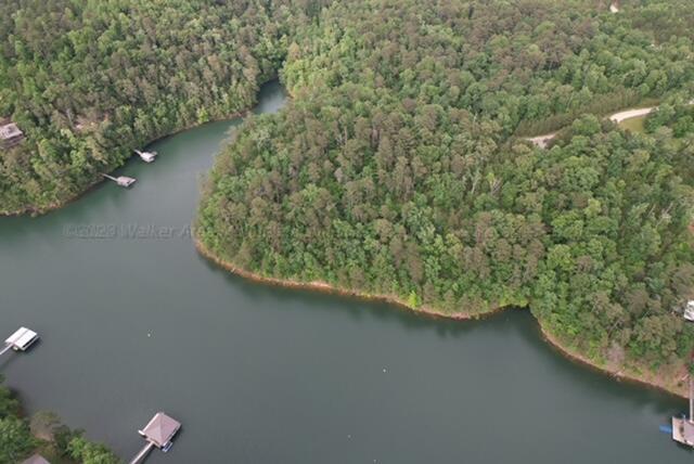 Image 4: Acreage with lots of waterfrontage