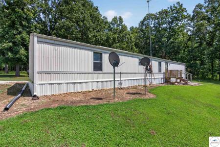 25694 Chokecherry