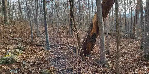 Lazy Acres