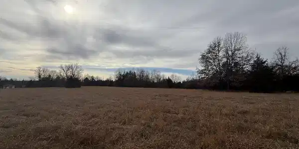 Lot 4 Jackson