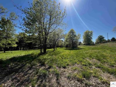 TBD Carmen Acres