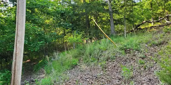 TBD Alcorn Hollow