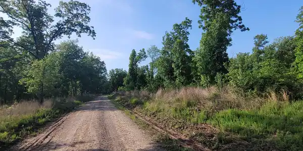 Lot 4 Wendy's