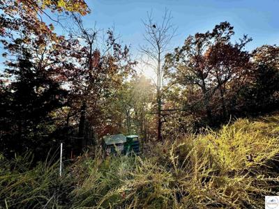 Lot  20 Lake Horizons