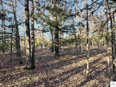 Lot 9 Timberlake Ranch, Georgetown