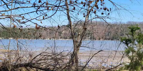 Emerald Hills