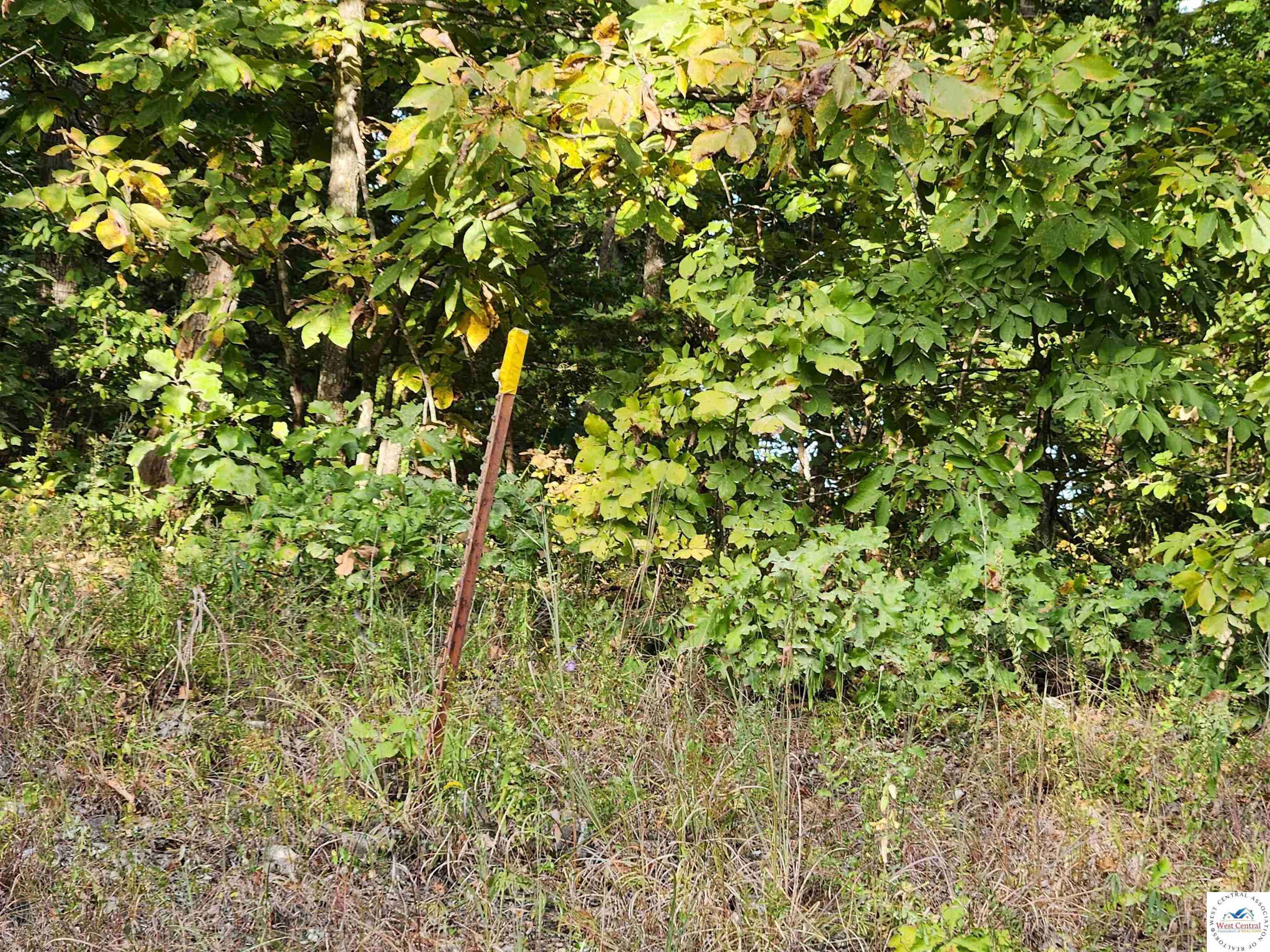 Image 2: The fence post is on the left as you drive down the hill. It's marked with yellow tape