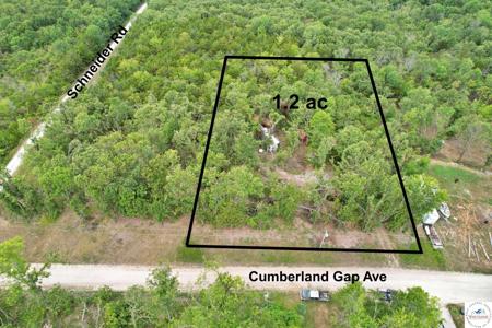 25547 Cumberland Gap