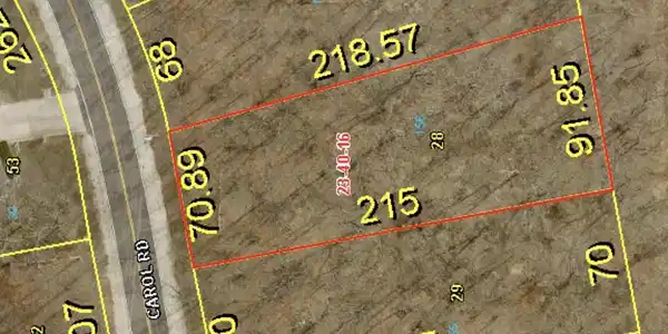 Lot 156 Carol