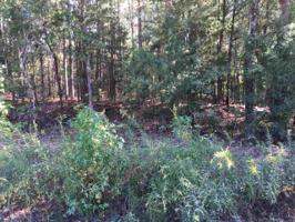 00 HORSESHOE Road Lot 2