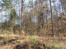 0 Mountain View Drive Lot 30