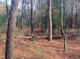 Lot 126 Keowee Bay