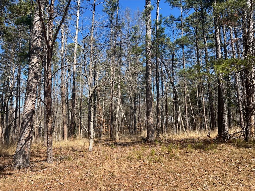 Image 1: This tranquil wooded lot offers a private, natural