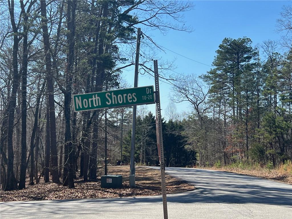 Image 3: The wooded lot is on the corner of North Shores an