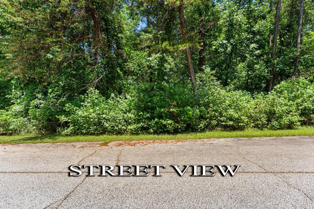 Image 4: A tranquil street view captures a serene landscape