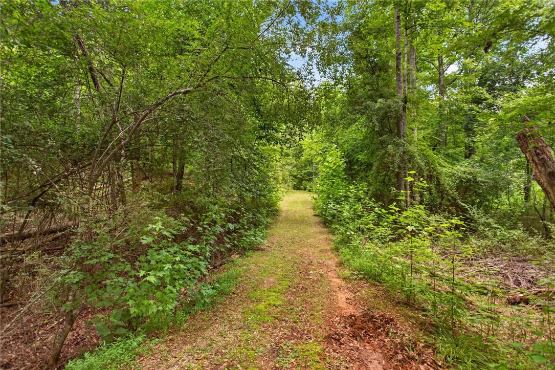 Image 2: A tranquil, tree-lined path offers a private escap