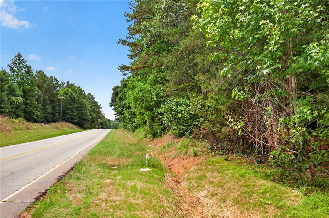 Image 3: A verdant roadside view showcases a serene, tree-l