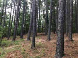 108 Deep Cove Court