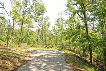 113 Sweetshrub Court