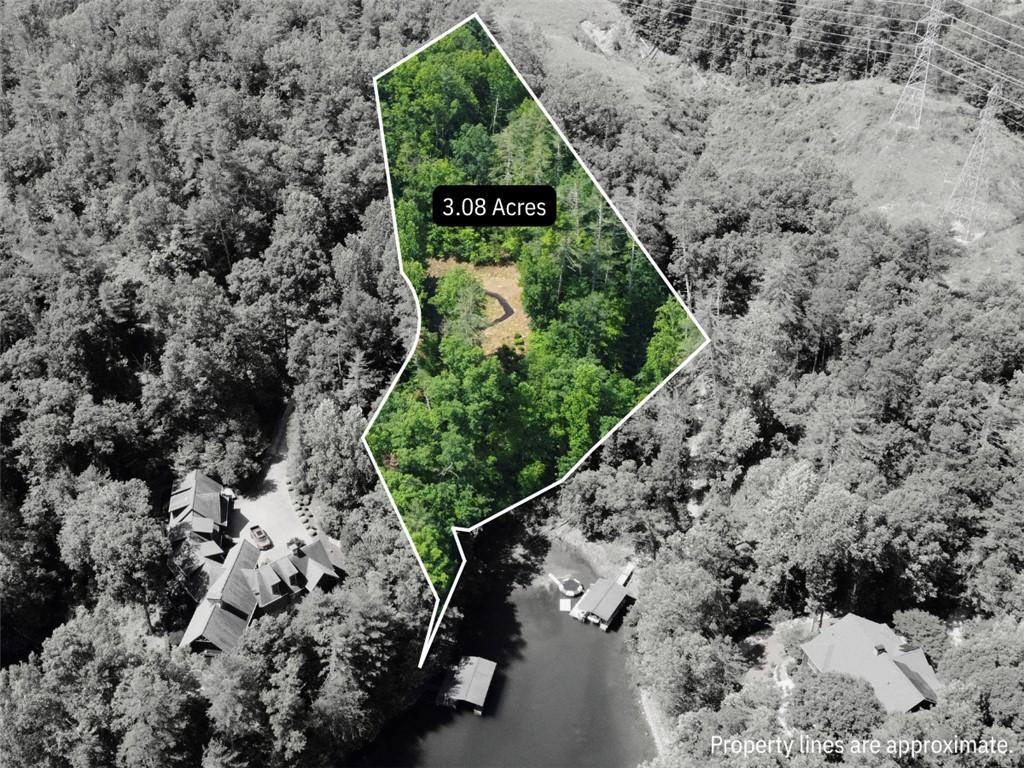 Image 4: Property lines/pins depicted on aerial photographs
