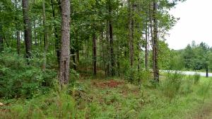 Lot 2 Cliffs Vista Pkwy