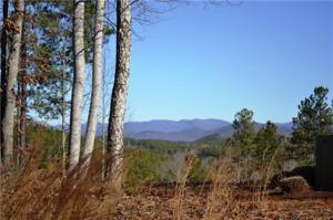 Lot 45 Cliffs Vista Parkway
