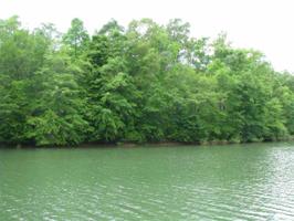266 Long Ridge Road