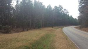 5.95 acres+/- Stamp Creek Landing Road