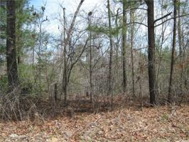 LOT 1 OSHEAL Drive