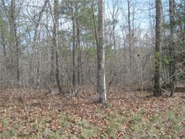 LOT 2 OSHEAL Drive
