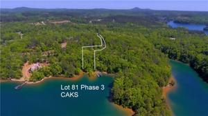 551 Leaning Pine #CKS-Ph3-81 Trail