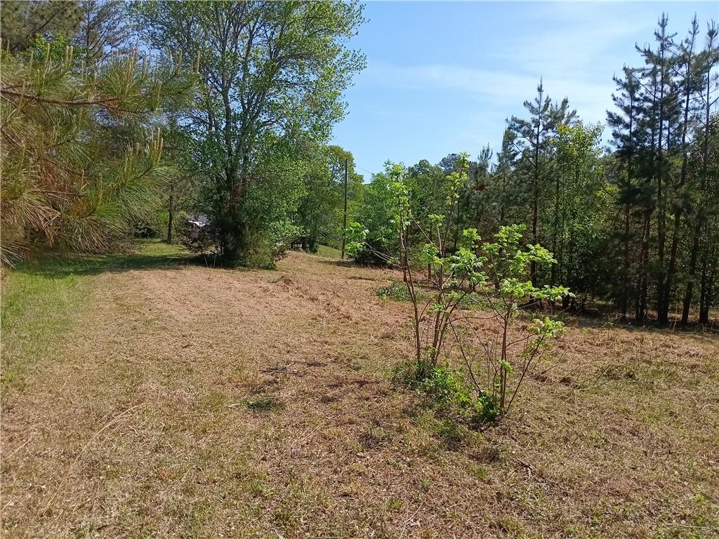 Image 2: A beatiful, undeveloped lot awaits your vision, bo